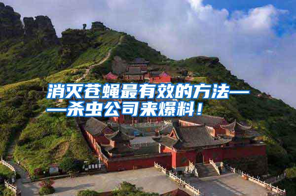消滅蒼蠅最有效的方法——?dú)⑾x公司來爆料！