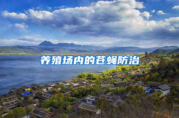 養(yǎng)殖場(chǎng)內(nèi)的蒼蠅防治