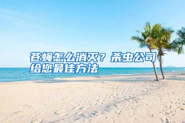 蒼蠅怎么消滅？殺蟲公司給您最佳方法