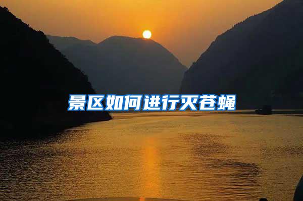 景區(qū)如何進行滅蒼蠅