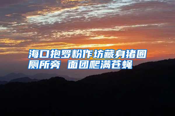?？诒Я_粉作坊藏身豬圈廁所旁 面團爬滿蒼蠅