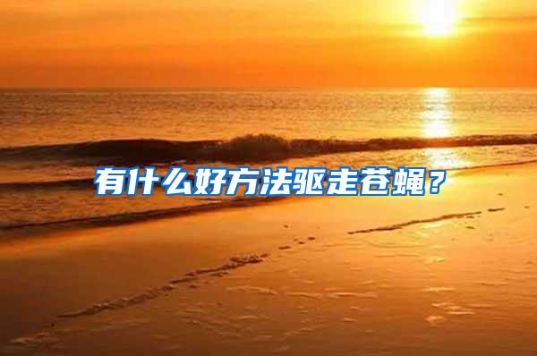 有什么好方法驅走蒼蠅？