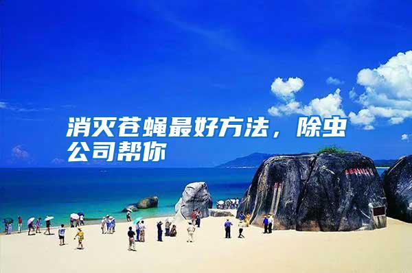消滅蒼蠅最好方法，除蟲公司幫你
