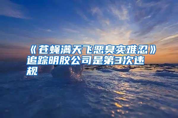 《蒼蠅滿天飛惡臭實(shí)難忍》追蹤明膠公司是第3次違規(guī)