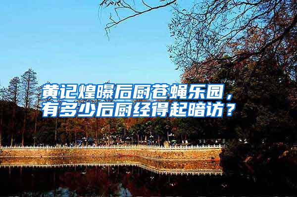 黃記煌曝后廚蒼蠅樂園， 有多少后廚經(jīng)得起暗訪？
