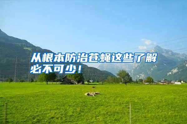 從根本防治蒼蠅這些了解必不可少！