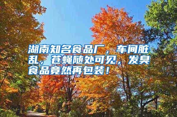 湖南知名食品廠，車間臟亂，蒼蠅隨處可見，發臭食品竟然再包裝！