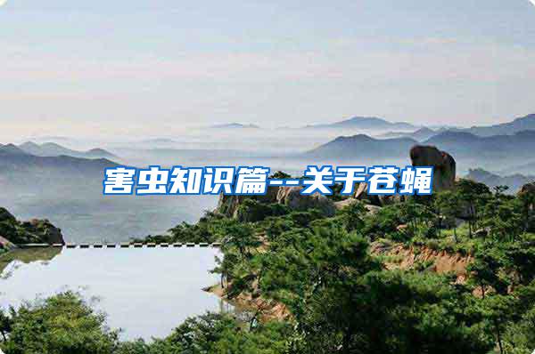 害蟲知識(shí)篇--關(guān)于蒼蠅