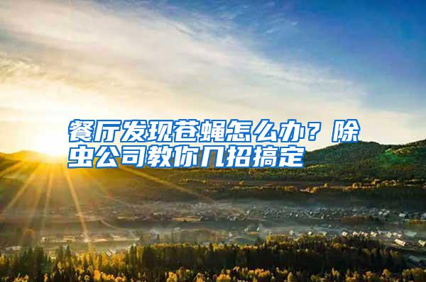 餐廳發現蒼蠅怎么辦？除蟲公司教你幾招搞定
