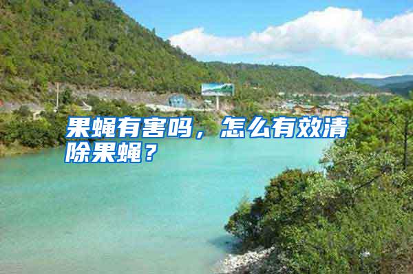 果蠅有害嗎，怎么有效清除果蠅？