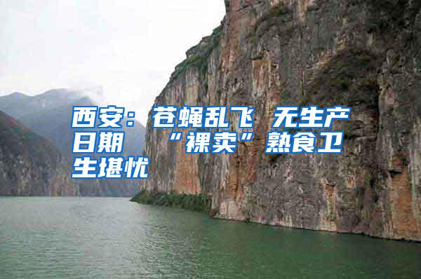 西安：蒼蠅亂飛 無(wú)生產(chǎn)日期  “裸賣”熟食衛(wèi)生堪憂