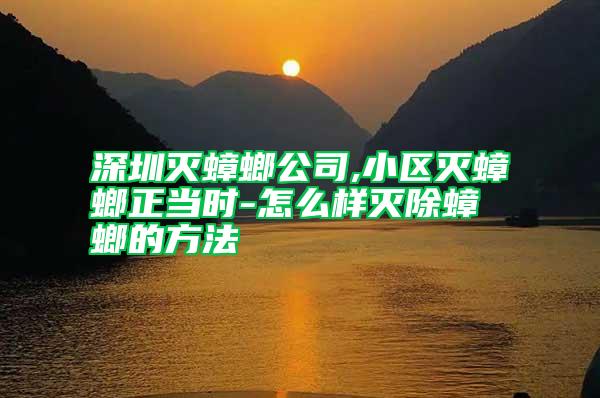 深圳滅蟑螂公司,小區(qū)滅蟑螂正當(dāng)時(shí)-怎么樣滅除蟑螂的方法