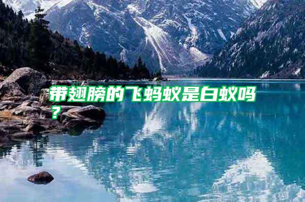 帶翅膀的飛螞蟻是白蟻嗎？