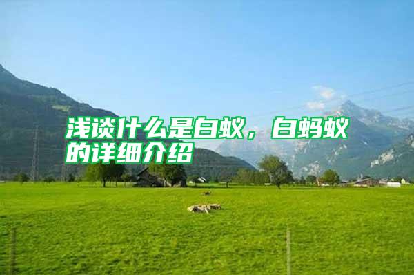 淺談什么是白蟻，白螞蟻的詳細介紹