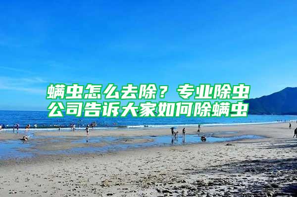 螨蟲怎么去除？專業除蟲公司告訴大家如何除螨蟲
