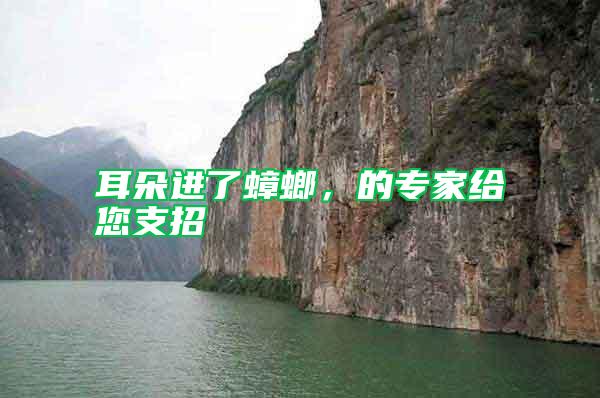 耳朵進(jìn)了蟑螂，的專(zhuān)家給您支招