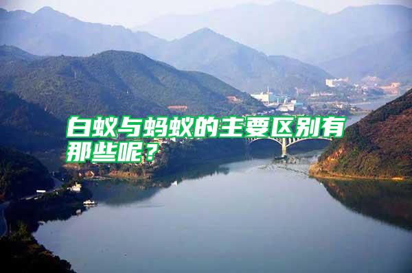 白蟻與螞蟻的主要區(qū)別有那些呢？
