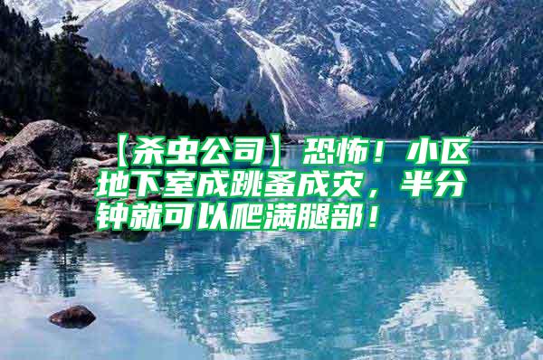 【殺蟲公司】恐怖！小區(qū)地下室成跳蚤成災，半分鐘就可以爬滿腿部！