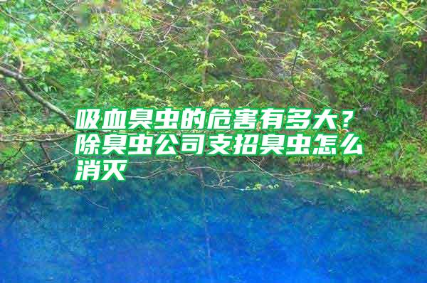 吸血臭蟲的危害有多大？除臭蟲公司支招臭蟲怎么消滅