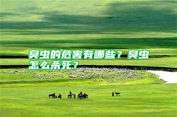 臭蟲的危害有哪些？臭蟲怎么殺死？