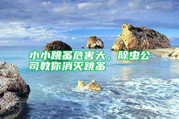 小小跳蚤危害大，除蟲公司教你消滅跳蚤
