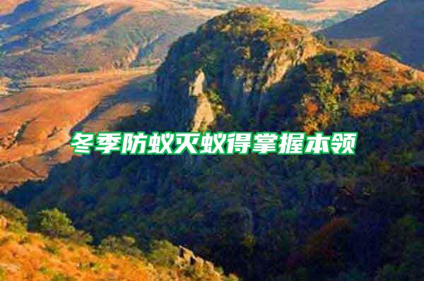冬季防蟻滅蟻得掌握本領(lǐng)