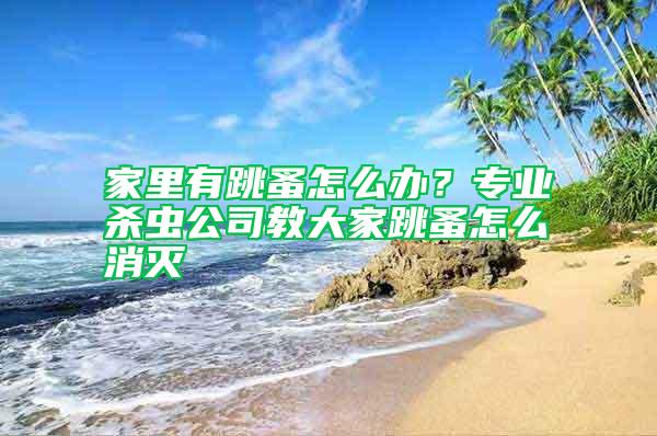 家里有跳蚤怎么辦？專業殺蟲公司教大家跳蚤怎么消滅