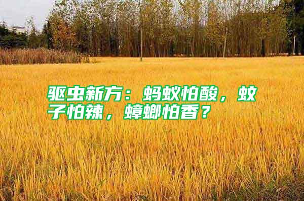 驅(qū)蟲新方：螞蟻怕酸，蚊子怕辣，蟑螂怕香？
