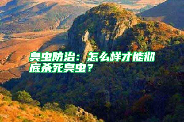臭蟲防治：怎么樣才能徹底殺死臭蟲？