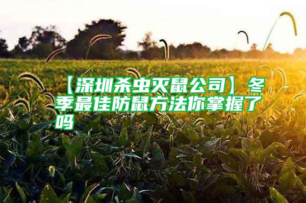 【深圳殺蟲(chóng)滅鼠公司】冬季最佳防鼠方法你掌握了嗎