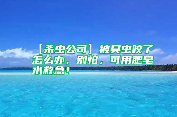 【殺蟲(chóng)公司】被臭蟲(chóng)咬了怎么辦，別怕，可用肥皂水救急！