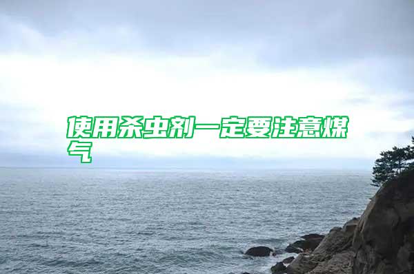 使用殺蟲(chóng)劑一定要注意煤氣