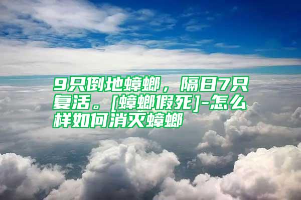 9只倒地蟑螂，隔日7只復活。[蟑螂假死]-怎么樣如何消滅蟑螂