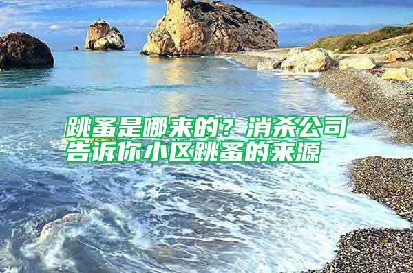 跳蚤是哪來的？消殺公司告訴你小區(qū)跳蚤的來源