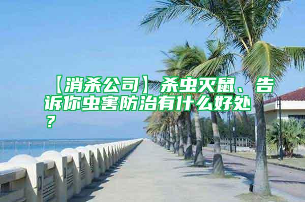 【消殺公司】殺蟲滅鼠、告訴你蟲害防治有什么好處？