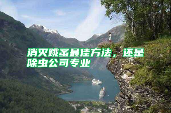 消滅跳蚤最佳方法，還是除蟲(chóng)公司專(zhuān)業(yè)