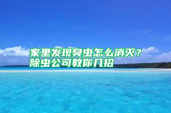 家里發(fā)現(xiàn)臭蟲(chóng)怎么消滅？除蟲(chóng)公司教你幾招