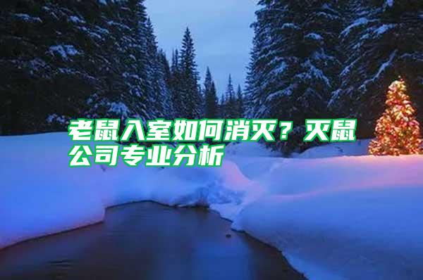 老鼠入室如何消滅？滅鼠公司專業分析