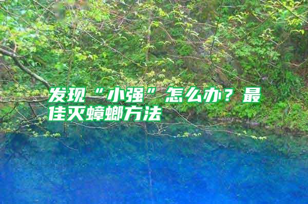 發(fā)現(xiàn)“小強(qiáng)”怎么辦？最佳滅蟑螂方法