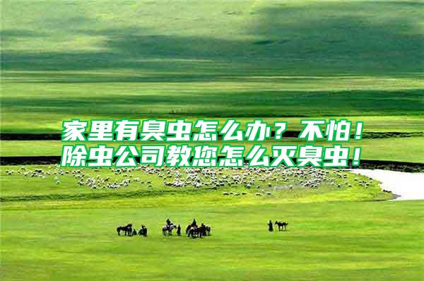 家里有臭蟲怎么辦？不怕！除蟲公司教您怎么滅臭蟲！