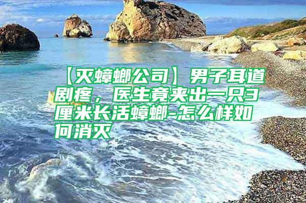 【滅蟑螂公司】男子耳道劇疼，醫(yī)生竟夾出一只3厘米長活蟑螂-怎么樣如何消滅
