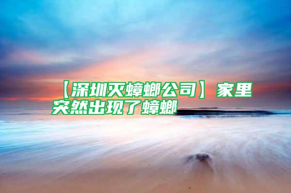 【深圳滅蟑螂公司】家里突然出現(xiàn)了蟑螂