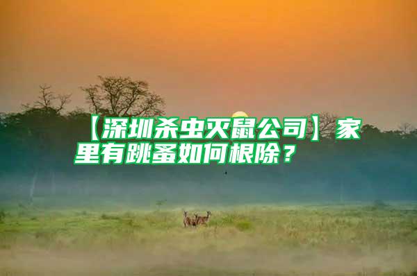 【深圳殺蟲(chóng)滅鼠公司】家里有跳蚤如何根除？