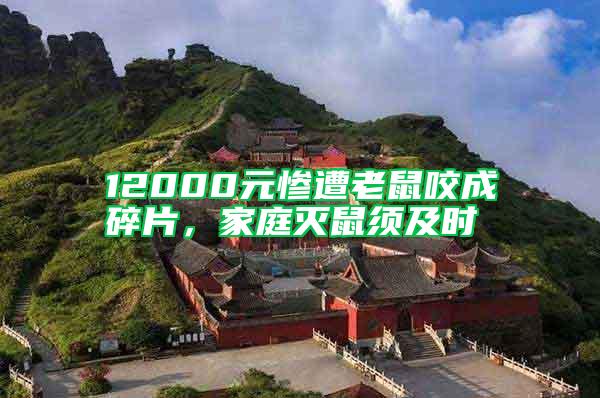 12000元慘遭老鼠咬成碎片，家庭滅鼠須及時