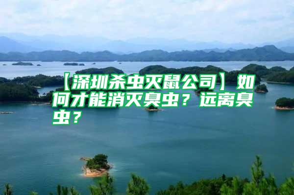 【深圳殺蟲滅鼠公司】如何才能消滅臭蟲？遠離臭蟲？