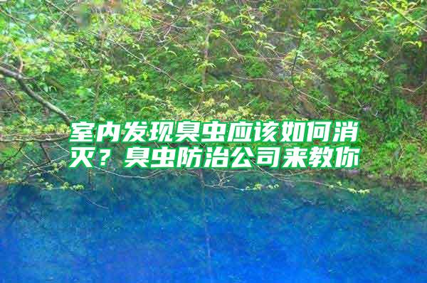 室內發現臭蟲應該如何消滅？臭蟲防治公司來教你