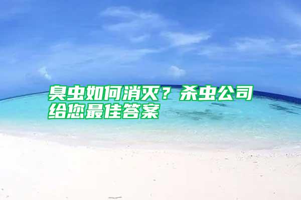 臭蟲如何消滅？殺蟲公司給您最佳答案