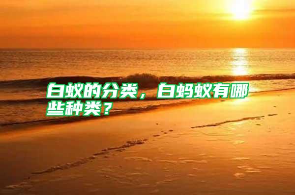 白蟻的分類，白螞蟻有哪些種類？