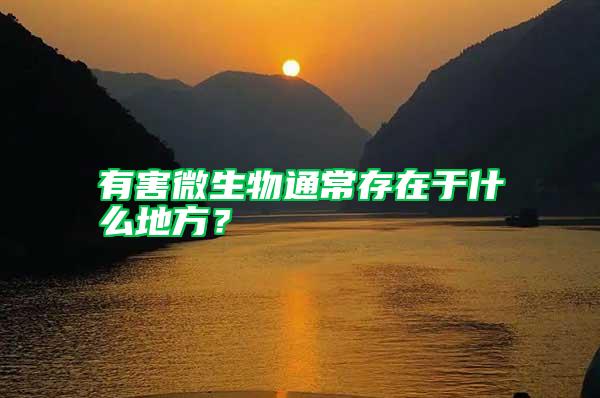 有害微生物通常存在于什么地方？