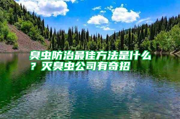臭蟲防治最佳方法是什么？滅臭蟲公司有奇招